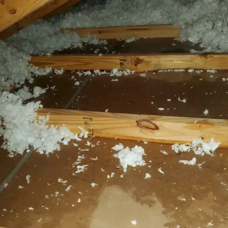 Attic Water Damage in Parma, ID