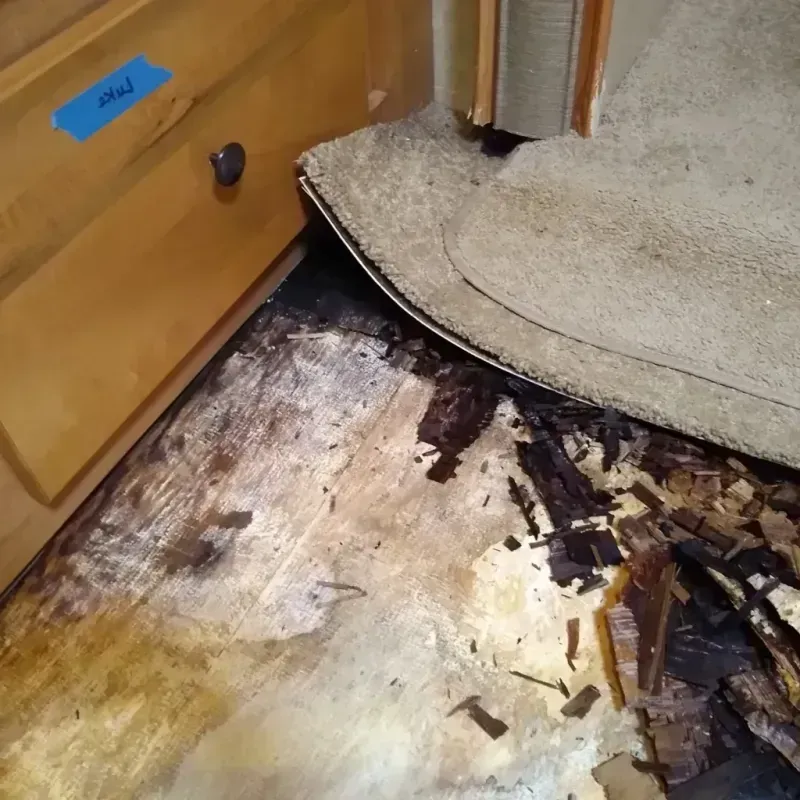 Wood Floor Water Damage in Parma, ID